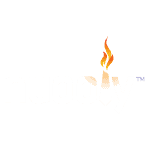 Nuooly logo